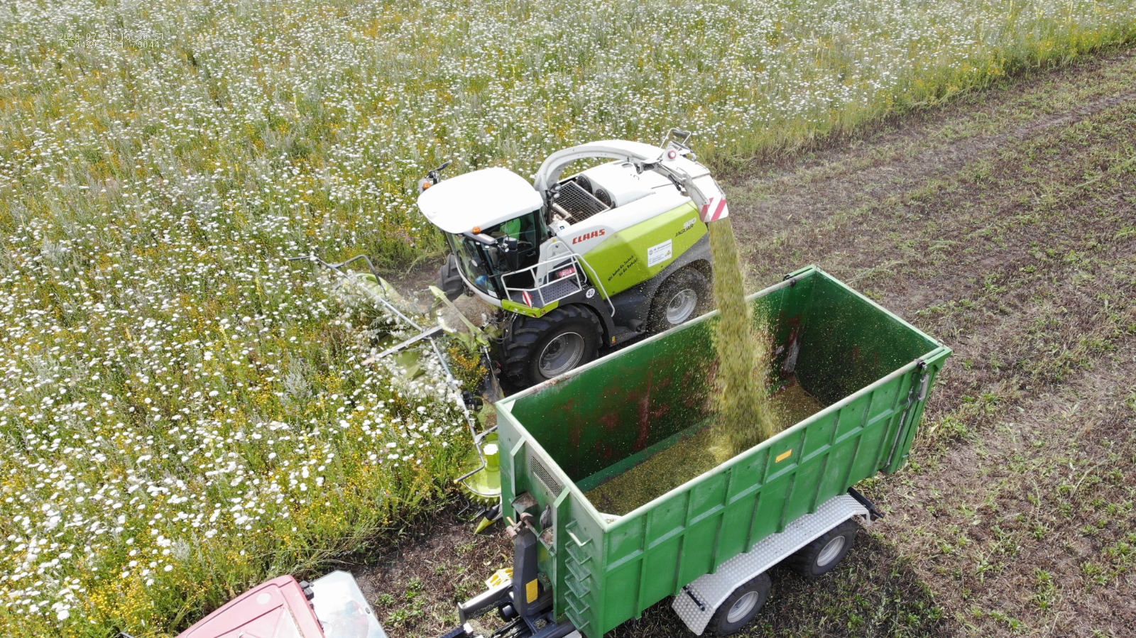 Landmaschiene beim Ernten von Biomasse